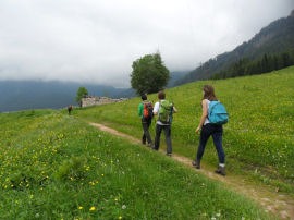 In cammino sui sentieri tra i prati verso San Martino di Castrozza (22213 bytes)